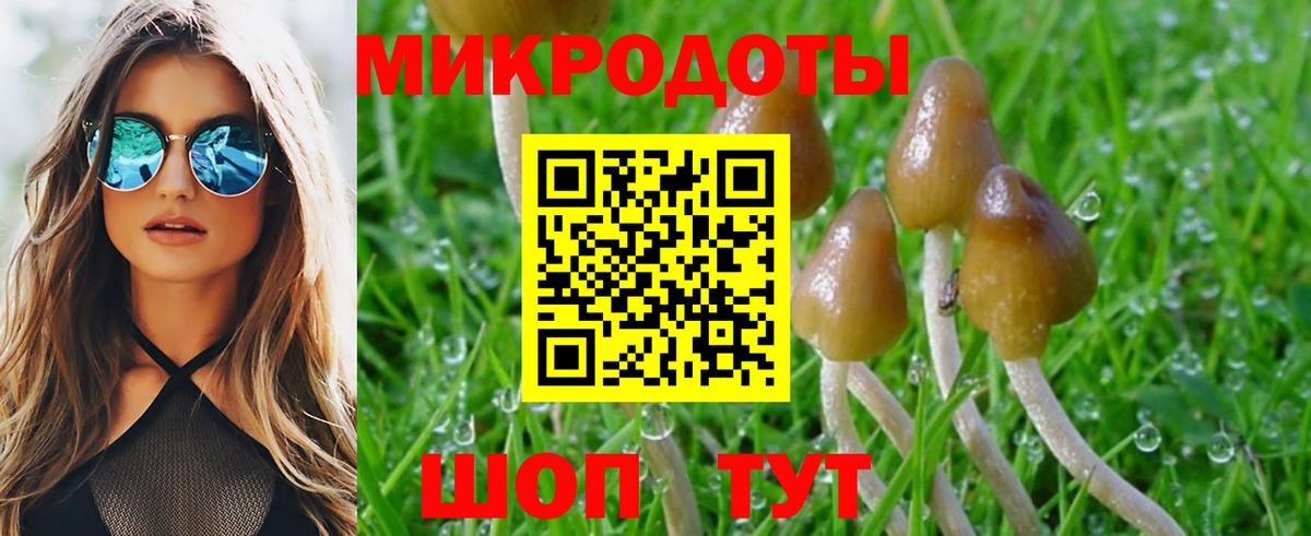 Псилоцибиновые грибы MAGIC MUSHROOMS  Вход с VPN  Родники 
